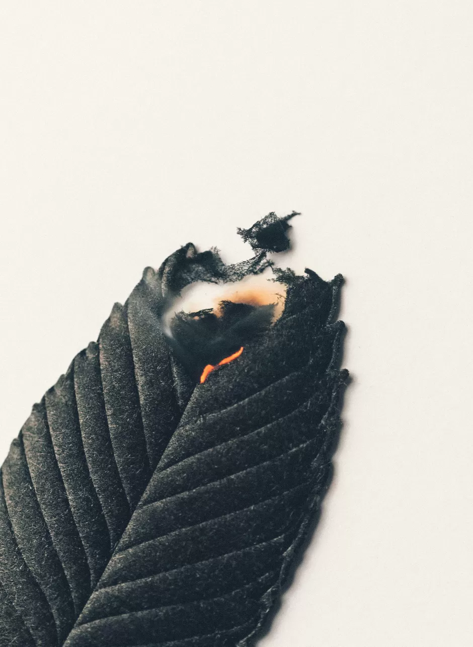 Ha Ko Black Paper Incense Pack*imogene+willie Flash Sale